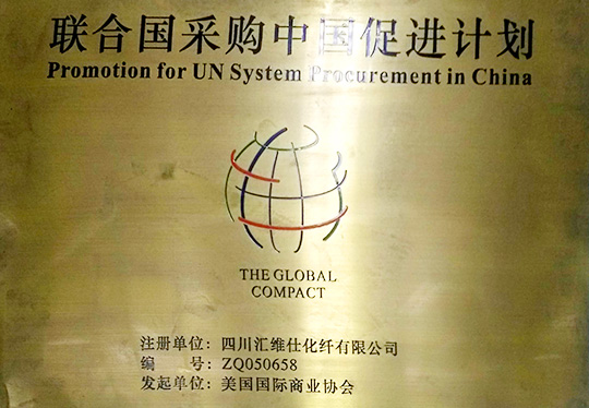 公司注册为“联合国采购中国促进计划”